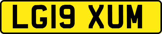 LG19XUM