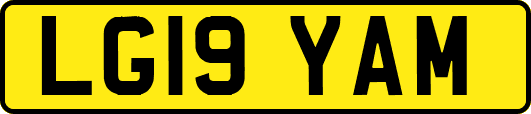 LG19YAM
