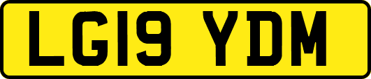LG19YDM