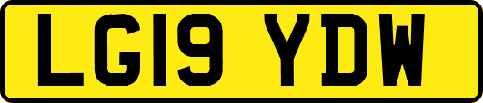 LG19YDW