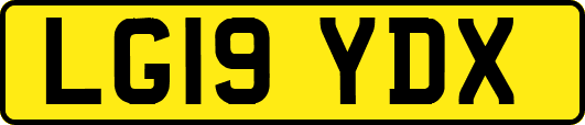 LG19YDX