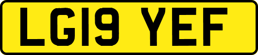 LG19YEF