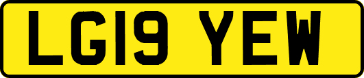 LG19YEW