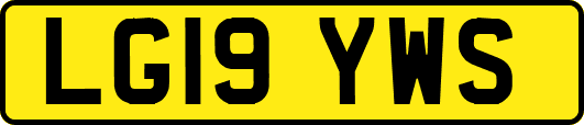 LG19YWS