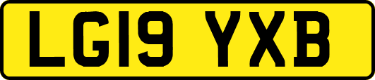 LG19YXB