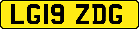 LG19ZDG