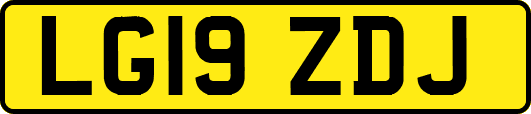 LG19ZDJ