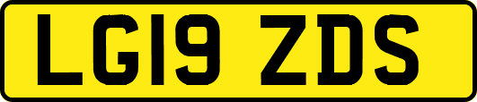 LG19ZDS