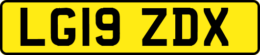 LG19ZDX