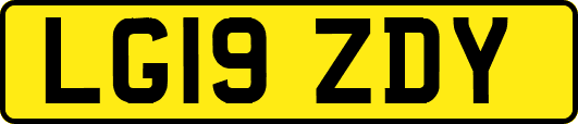 LG19ZDY