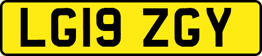 LG19ZGY
