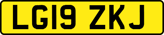 LG19ZKJ