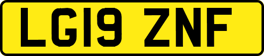 LG19ZNF