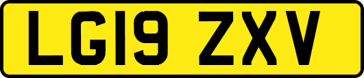 LG19ZXV