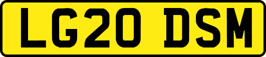 LG20DSM