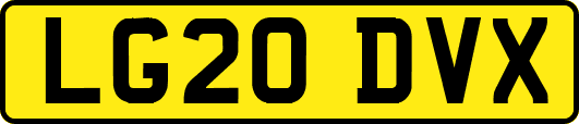 LG20DVX