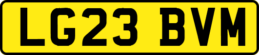 LG23BVM