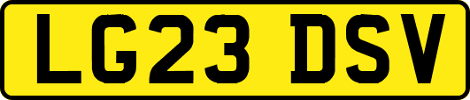 LG23DSV