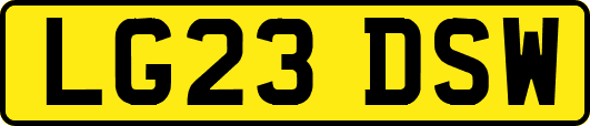 LG23DSW