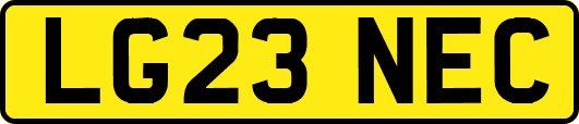 LG23NEC