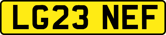 LG23NEF