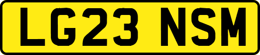 LG23NSM