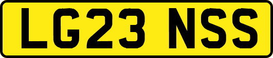 LG23NSS