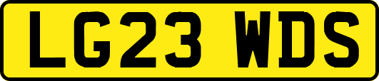LG23WDS
