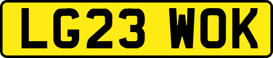 LG23WOK