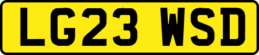 LG23WSD