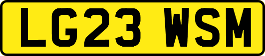 LG23WSM