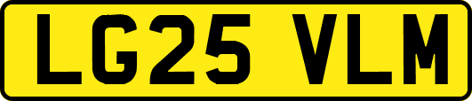 LG25VLM