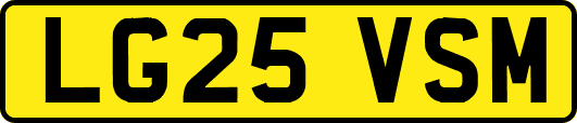 LG25VSM