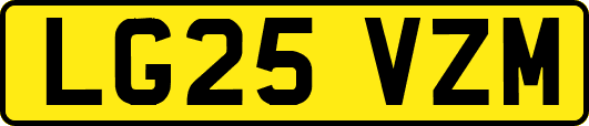LG25VZM