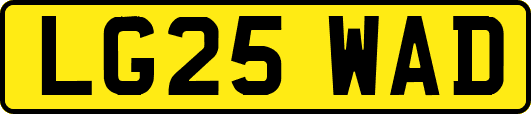 LG25WAD