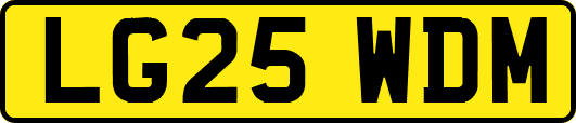 LG25WDM