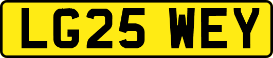 LG25WEY