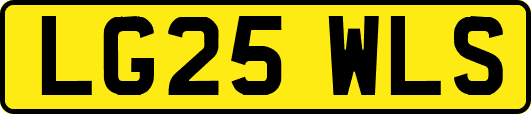 LG25WLS