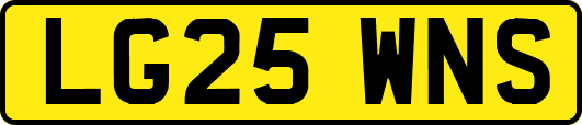 LG25WNS