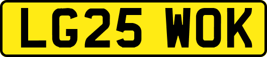 LG25WOK