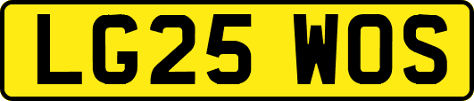 LG25WOS