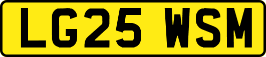 LG25WSM