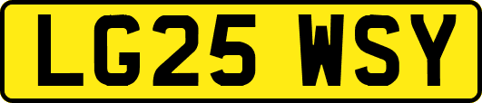 LG25WSY