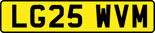 LG25WVM