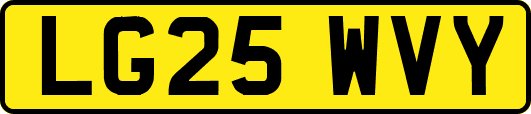LG25WVY