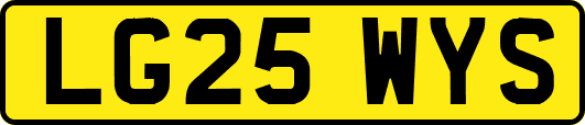 LG25WYS
