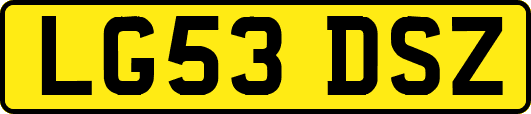LG53DSZ