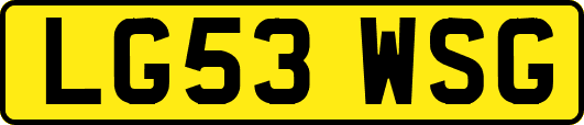 LG53WSG