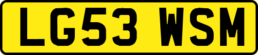 LG53WSM