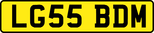 LG55BDM
